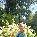 ���� ���������, �����, 62 ���� - ��������� 27 ���� 2025