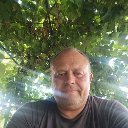 , 45, 