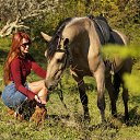 ���� �������, ���� - ��������� 11 ������� 2025 � ������ ������ ��������