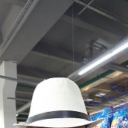 , 65 , 