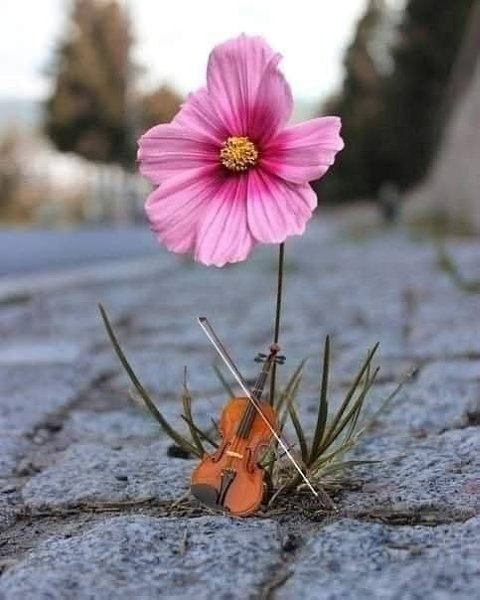 ��� ���... .....�������..... ............����..........