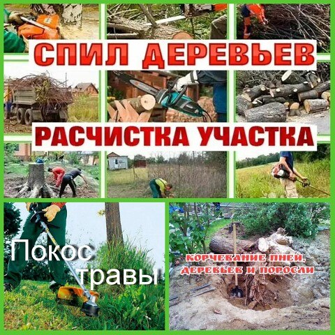 ������� ��� ���� �������� ����� ������ � ���������. � ������� �������������. ��� ������� ...