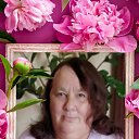 ���� ����, ������, 71 ��� - ��������� 4 ����� 2024