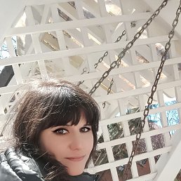 ���������, 38 ���, �����������