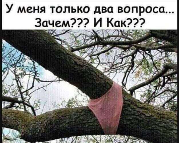 Всё будет хорошо! - 27 октября 2025 в 12:12