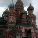 ���� Dmitrii, �����-���������, 43 ���� - ��������� 18 ��� 2024 � ������ ���� ����������