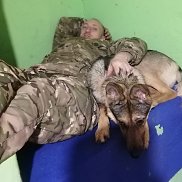 �������, 38 ���, �����