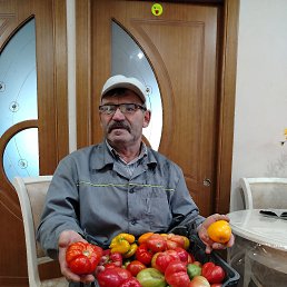 , 66, 