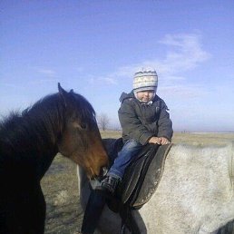 ������, ������, 53 ����