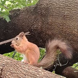 ���� ����, ����, 37 ��� - ��������� 1 ������ 2026