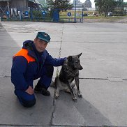 , 45 , 