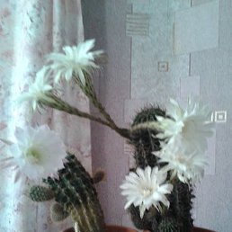 ������, ������, 76 ���