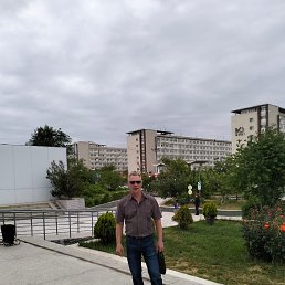 , 56, 