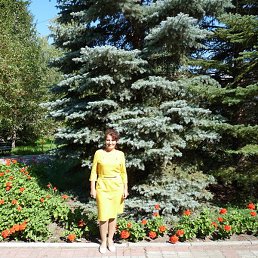 ����������, ���������, 50 ���