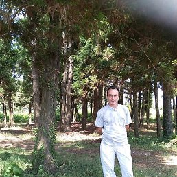 Fridoni, , 45 