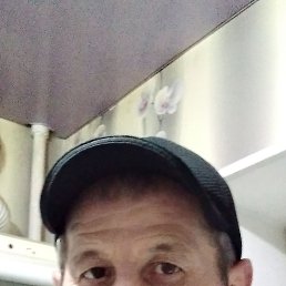 �����, 49 ���, ������