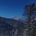 ���� �����, ������������, 52 ���� - ��������� 12 ������ 2025 � ������ ������ ��������