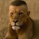 ���� ���������, �����-���������, 50 ��� - ��������� 23 ������� 2025 � ������ ���� ����������