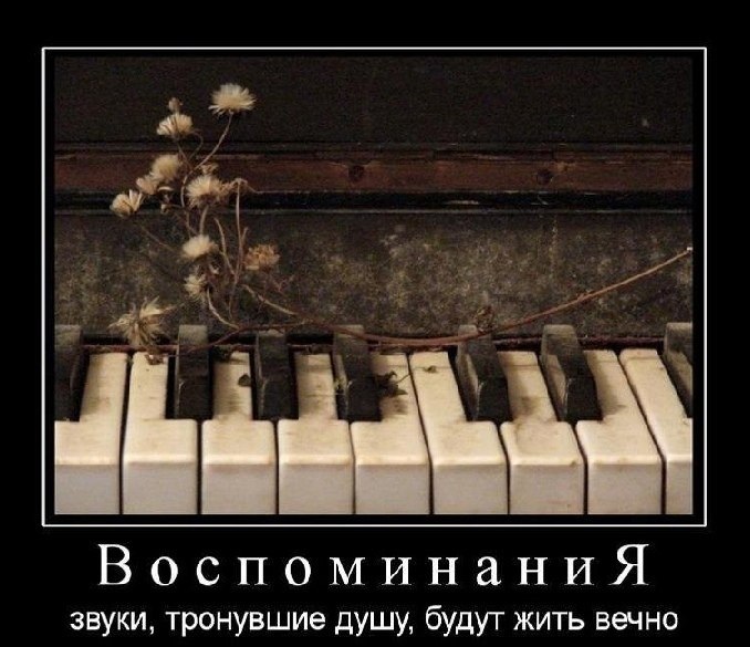   - 9  2024  07:20