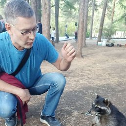 �������, ���������, 54 ����