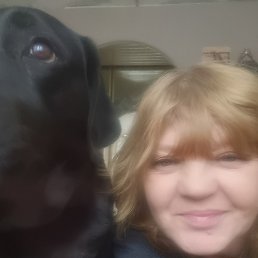 �����, �����������-��-�����, 53 ����