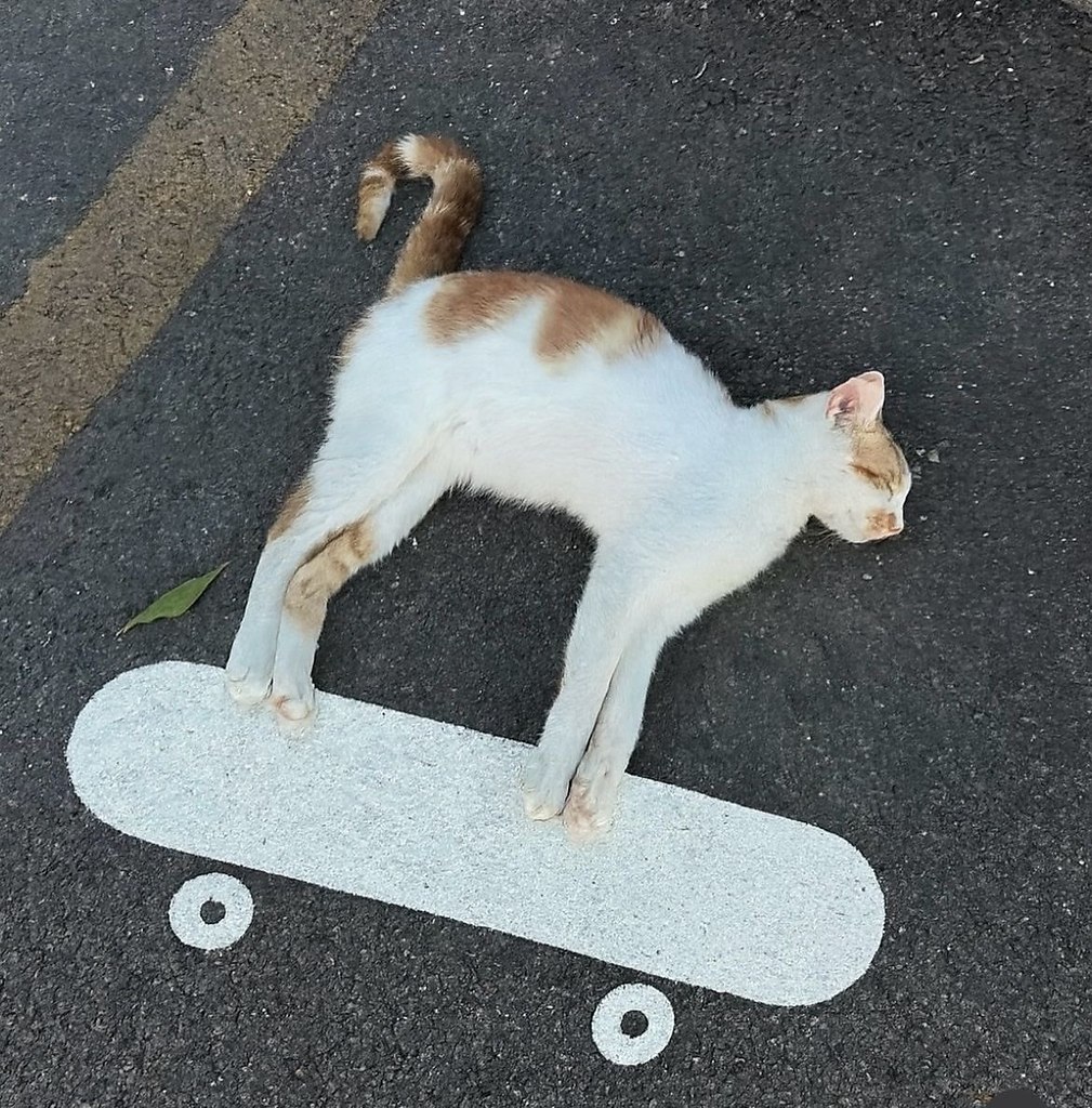 Активно-пассивный спорт