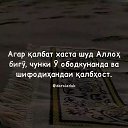 Iftikhor, , 23  -  17  2024    