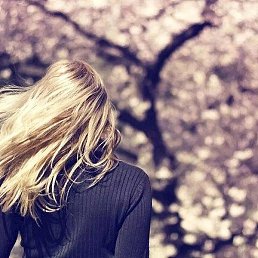 �����, ������-��-����, 40 ���