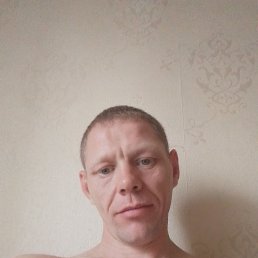 , 41, 