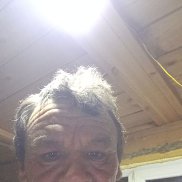 ����, 44 ����, ������