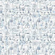 ����, 17 ���, �����������