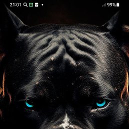 Natalia, �����, 37 ���