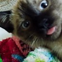 ���� �����, �������� - ��������� 19 ������ 2024 � ������ ���� ����������