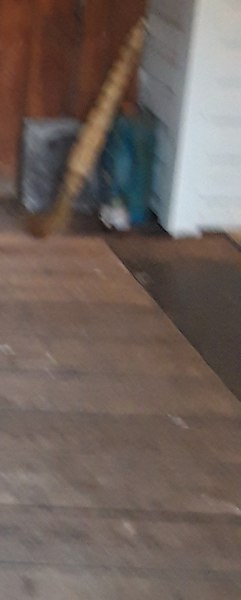 ��������, ����, 62 ����