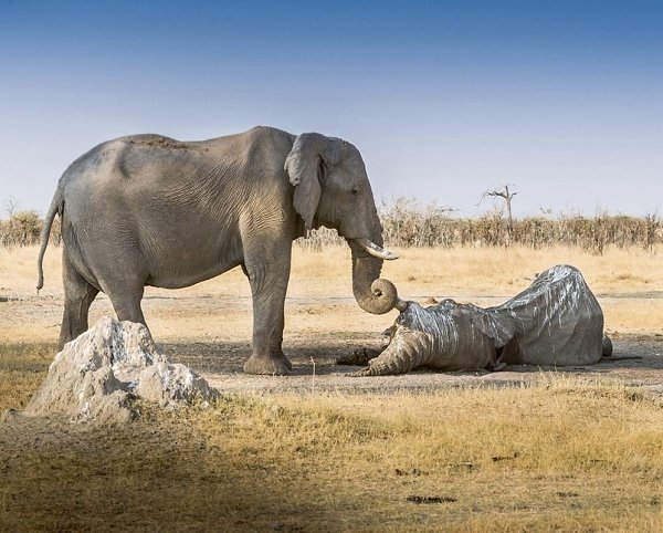 ����� � ������������ ��������, � ������� ���� ������ �����������. ��� ����������������� ����� 60�80 ...