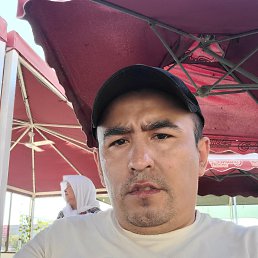 , 40, 