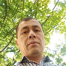 ���� ���������, ������, 46 ��� - ��������� 4 ������ 2023