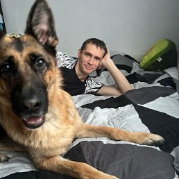 ���� �������, ������, 38 ��� - ��������� 21 ������ 2026