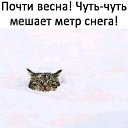 ���� ����, ������ �������� - ��������� 25 ������� 2024