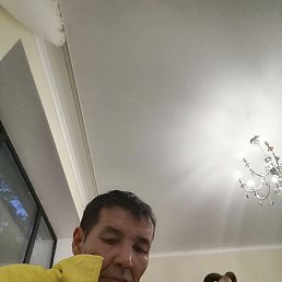 , 56, 