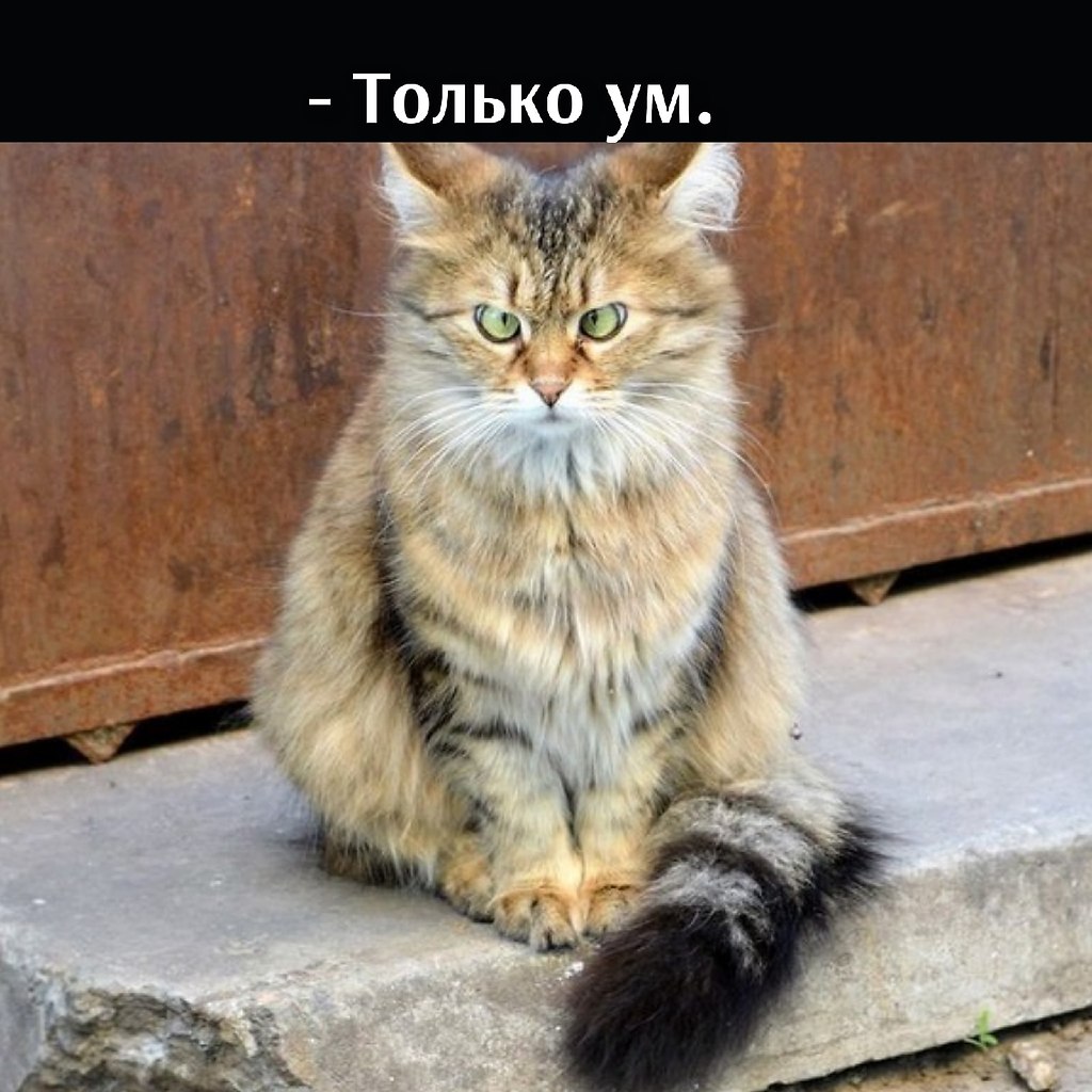 ��� ���� � ����� �� �� - 2 ������ 2026 � 21:03 - 2