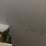 �������, 39 ���, ����-���������