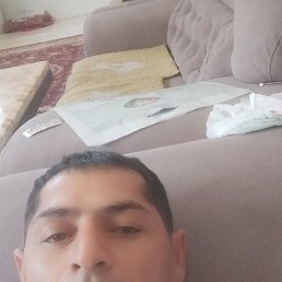 , 35, 