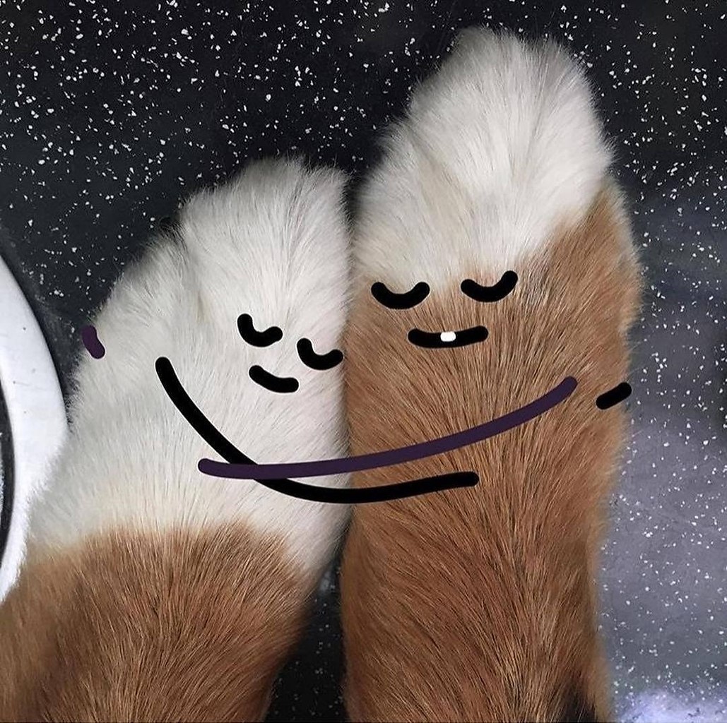   - 3