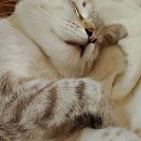 ���� ����, ��������� - ��������� 26 ������� 2024 � ������ ���� ����������