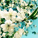 ���� ���������, ������, 49 ��� - ��������� 12 ������ 2024 � ������ ���� ����������