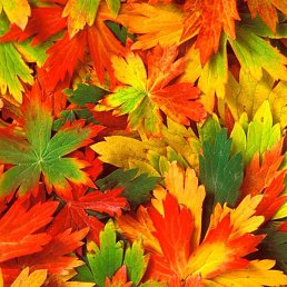 ������, ���������, 60 ���