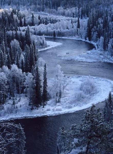 Зима. Как тихо, ветра нету. Стоят деревья все в снегу. Мороз окутал пол планеты, Рисуя снегом ... - 4