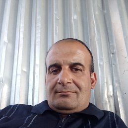 , 55, 