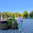 ���� �������, ������, 54 ���� - ��������� 26 ���� 2026 � ������ ���� ����������